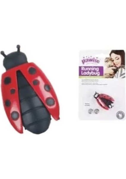 Uğur Böceği Hareketli Kedi Oyuncağı