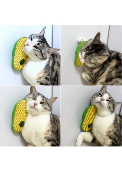 Silikon Kaşıyıcılı Kedi Otu