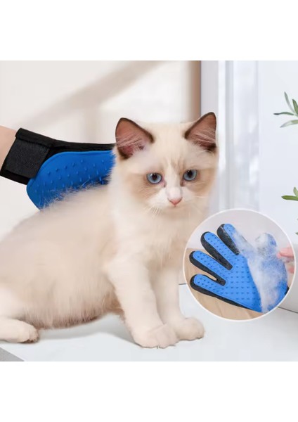 Wiforte Kedi Köpek Bakım Eldiveni – Silikon Masaj, Tüy Toplama ve Temizlik Eldiveni fırsatları