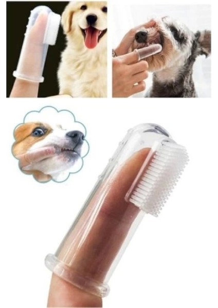 Kedi Köpek Diş Temizleme Fırçası