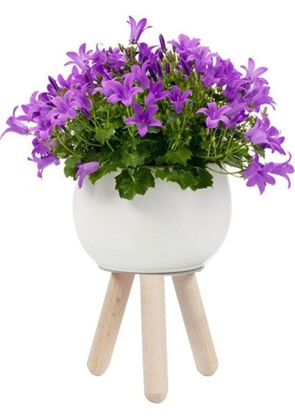 Ahşap Saksı Altlığı 2'li Set