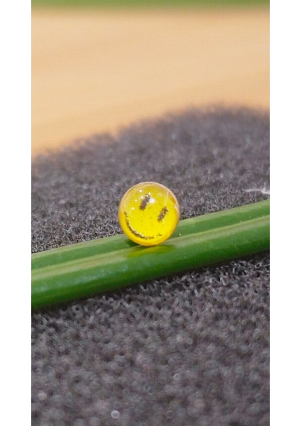 gümüş hızma ve şık tasarım