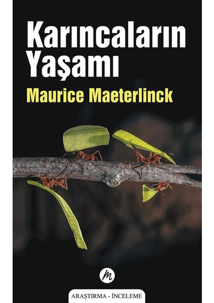 Karıncaların Yaşamı