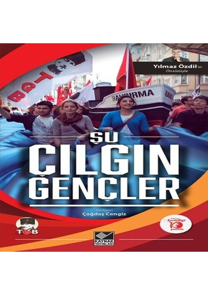 Şu Çılgın Gençler