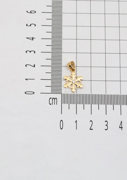 14 Ayar Altın Kartanesi Kolye Ucu fırsatları