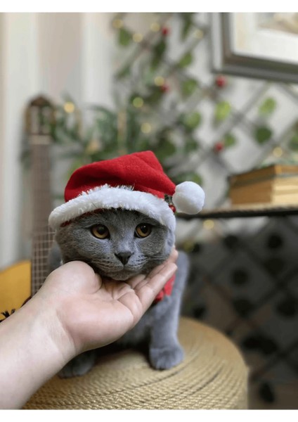 Yeni Yıl Kedi Şapkası Lastikli Yılbaşı Şapkası Yetişkin Kedi Noel Baba Şapkası modelleri