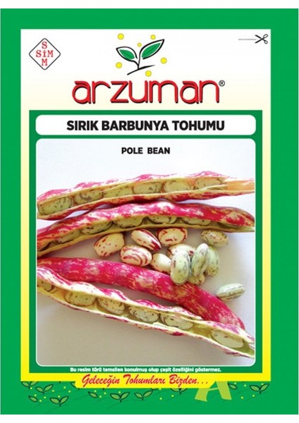 Sırık Barbunya Tohumu-50 Gram