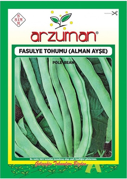 Sırık Alman Ayşe Fasulye Tohumu-50 Gram