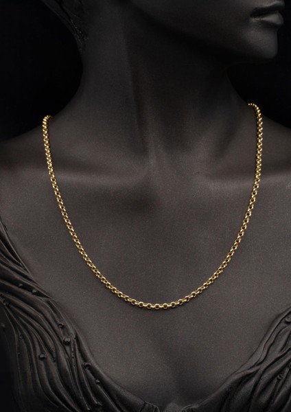 Doc Halkalı Altın Zincir 55 Cm. fiyatları