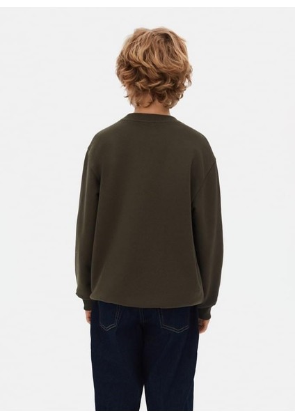 Erkek Sweatshirt 25KNK49302 modelleri