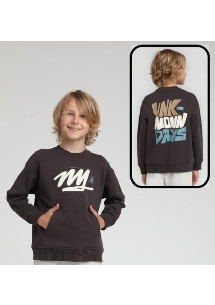 Erkek Sweatshirt 25KESC1857