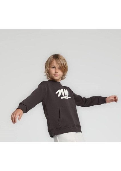 Erkek Sweatshirt 25KESC1857 fırsatları