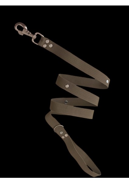 Köpek gezdirme tasması kalın kancalı yeşil kolon metal trok zımbalı uzunluk:120cm genişli:2,5cm dog leash B3-9