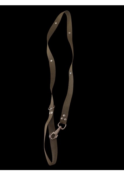 Köpek gezdirme tasması kalın kancalı yeşil kolon metal trok zımbalı uzunluk:120cm genişli:2,5cm dog leash B3-9 modelleri