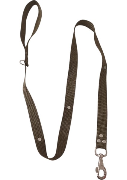 Köpek gezdirme tasması kalın kancalı yeşil kolon metal trok zımbalı uzunluk:120cm genişli:2,5cm dog leash B3-9 fırsatları