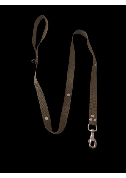 Köpek gezdirme tasması kalın kancalı yeşil kolon metal trok zımbalı uzunluk:120cm genişli:2,5cm dog leash B3-9 indirimleri