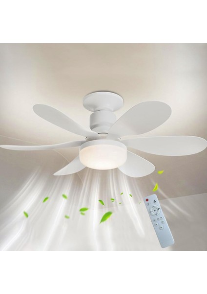 Daisy Fan LED 50W Kumandalı Işıklı Vantilatör HS-9302