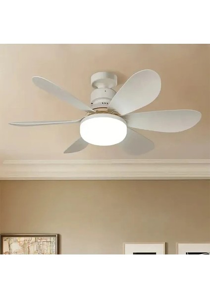 Daisy Fan LED 50W Kumandalı Işıklı Vantilatör HS-9302 fiyatları