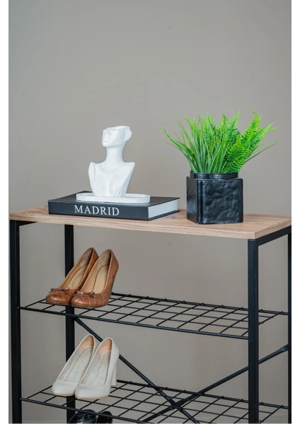 5 Katlı Ayakkabılık Modern Ahşap Üst Tablalı | Raflı Portatif Organizer indirimleri