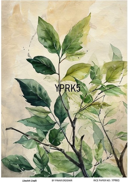 Yaprak Serisi Yprk5 Desenli Pirinç Dekopaj 30X42