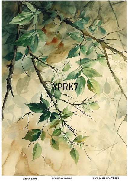 Yaprak Serisi Yprk7 Desenli Pirinç Dekopaj 30X42