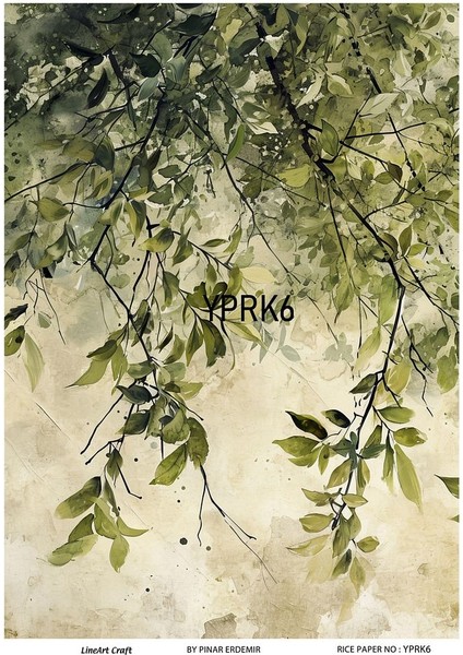 Yaprak Serisi Yprk6 Desenli Pirinç Dekopaj 30X42