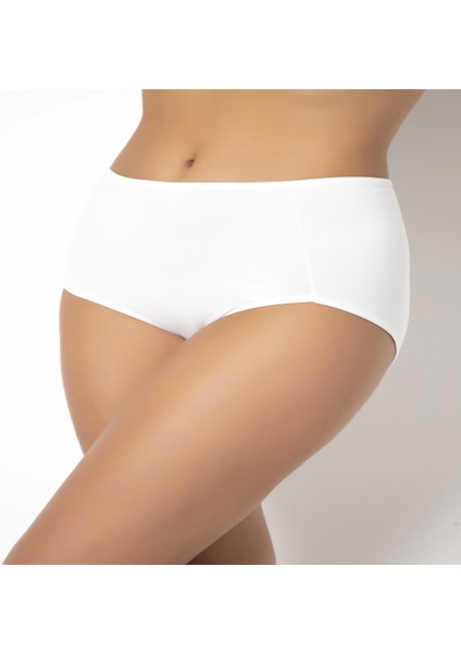 913 Kadın Büyük Beden Hipster Külot fiyatları