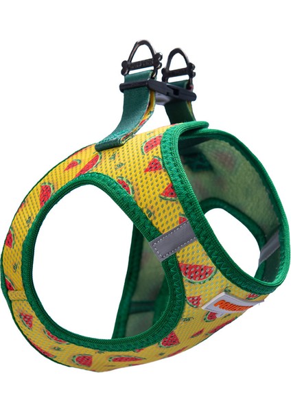 Air-Mesh Watermelon Köpek Göğüs Tasması