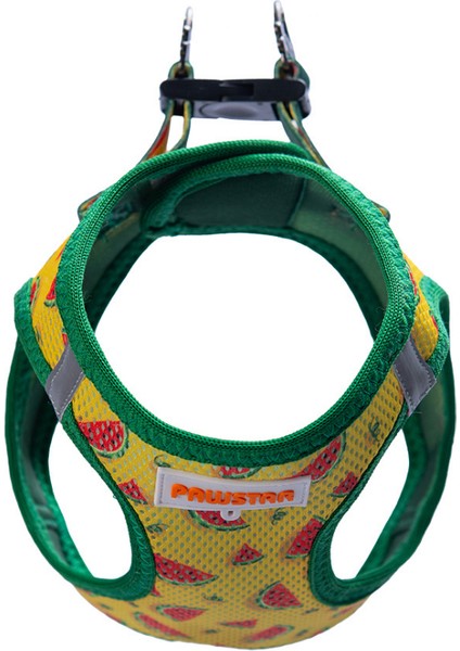 Air-Mesh Watermelon Köpek Göğüs Tasması fiyatları