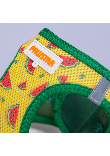 Air-Mesh Watermelon Köpek Göğüs Tasması modelleri