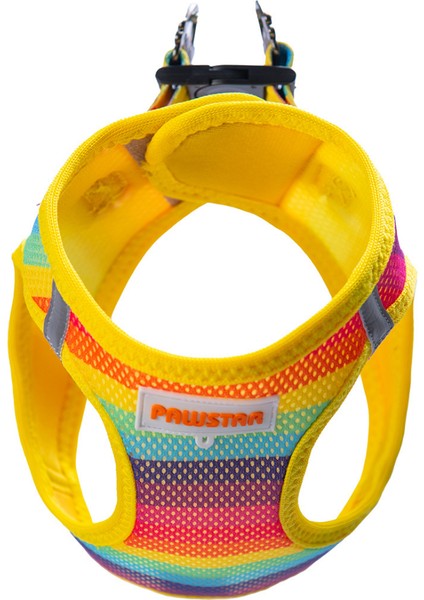 Air-Mesh Rainbow Köpek Göğüs Tasması