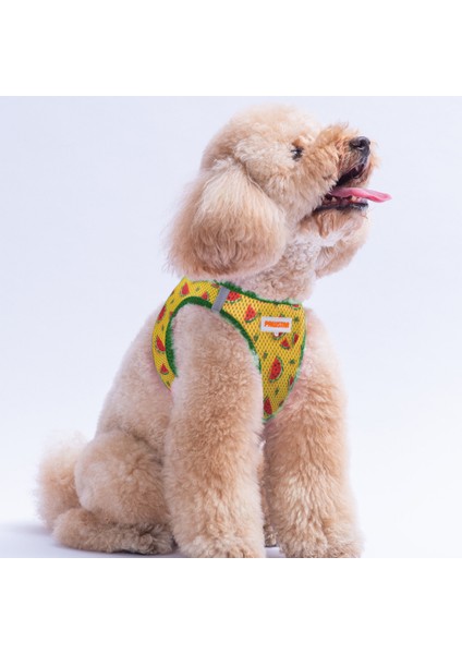 Air-Mesh Watermelon Köpek Göğüs Tasması fırsatları