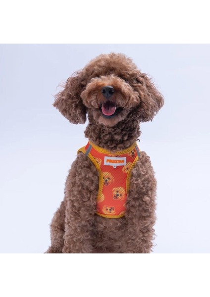 Air-Mesh Poodle Köpek Göğüs Tasması fiyatları