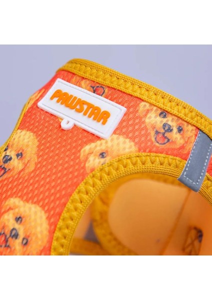 Air-Mesh Poodle Köpek Göğüs Tasması modelleri