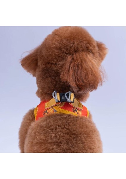 Air-Mesh Poodle Köpek Göğüs Tasması fırsatları