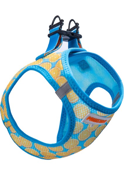 Air-Mesh Citrus Köpek Göğüs Tasması
