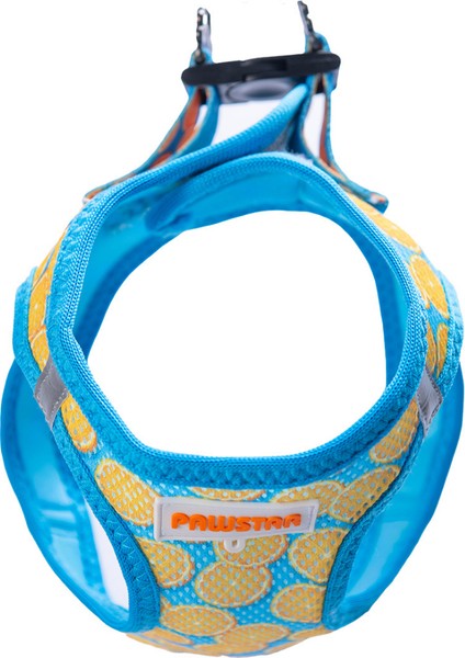 Air-Mesh Citrus Köpek Göğüs Tasması fiyatları