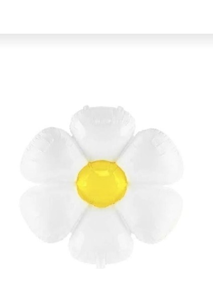 Papatya Arı Konsept Balon Detaylı Yaş Seçenekli Doğum Günü Yeni Doğan Parti Kutlama Seti fiyatları