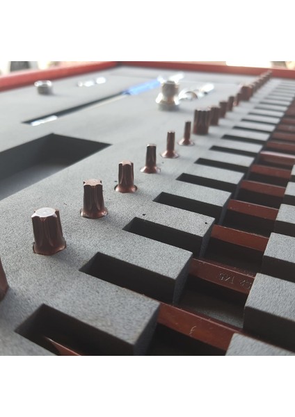 44 Parça Eva Süngerli Bits Uç Seti Torx - Allen - Spline (T Kollu ve Mafsallı) modelleri