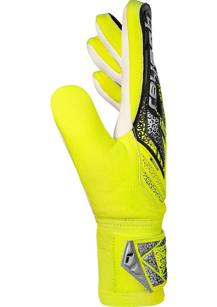 Attrakt Starter Solid Kaleci Eldiveni 5570514-2014 fırsatları