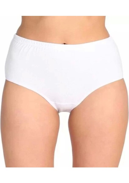 4021 Kadın Modal Iz Yapmaz Bato Külot