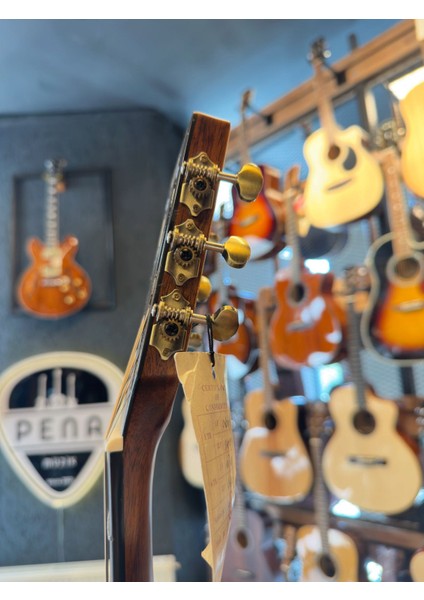 F-50CE Elektro Akustik Gitar modelleri