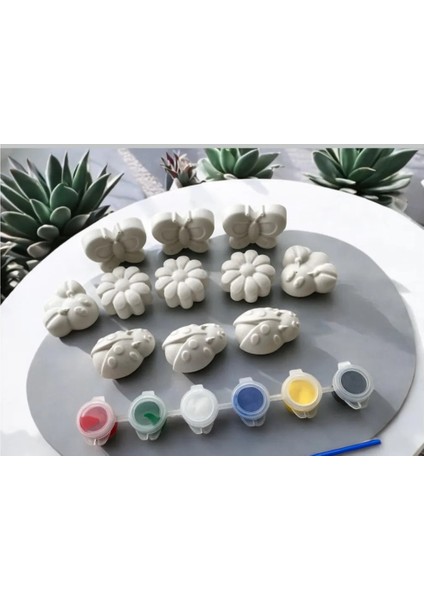 Bahar Neşesi Taş Boyama 11 Li Çocuk Yetişkin Taş Boyama Seti