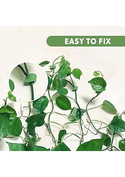 Lu Yaprak Tasarımlı Kablo Bitki Sarmaşık Düzenleyici Yapışkanlı Klipsler fiyatları