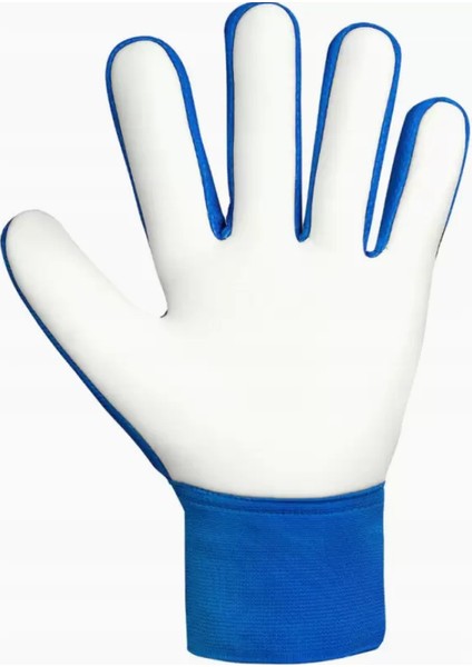 Attrakt Starter Solid Çocuk Kaleci Eldiveni 5572514-4467 modelleri