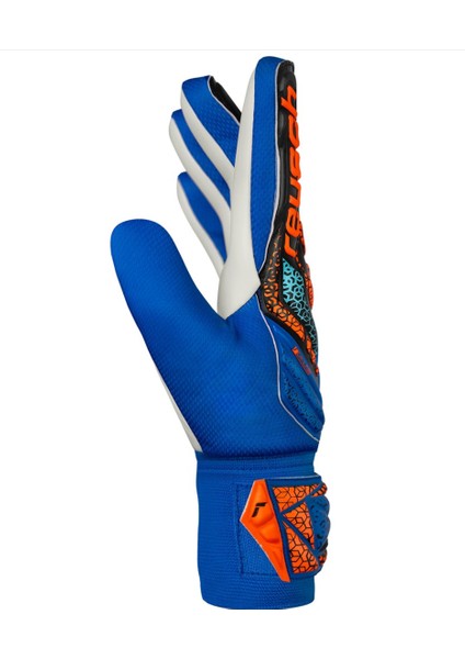 Attrakt Starter Solid Çocuk Kaleci Eldiveni 5572514-4467 fırsatları