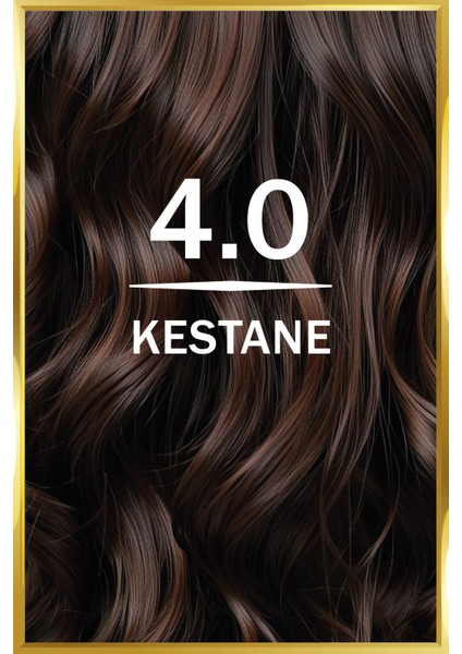4.0 Kestane-Chestnut fiyatları