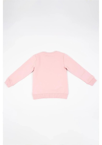 Kız Çocuk Pembe Uzun Kollu Kuş Nakış Detaylı Kışlık Sweatshirt fiyatları
