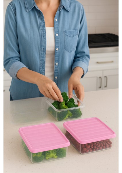 3'lü 2,5l Dikdörtgen Derin Dondurucu Saklama Kabı 10'lu Set Buzluk Mikrodalga Gıda Pembe Plastik Kap