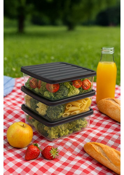 3'lü 2,5l Dikdörtgen Derin Dondurucu Saklama Kabı 10'lu Set Buzluk Mikrodalga Gıda Gri Plastik Kap fiyatları